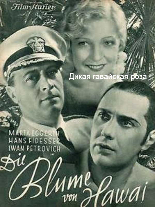 Дикая гавайская роза